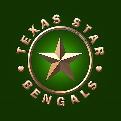Texas Star Bengals logo