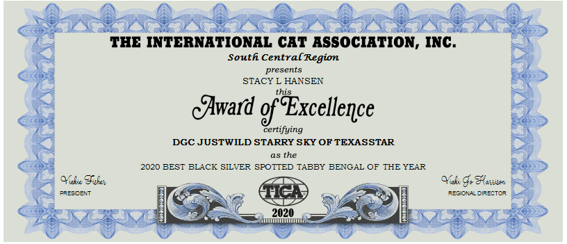 Award of Excellencw