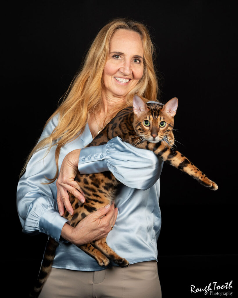 Stacy Hansen holding TexasStar Copper Flashpoint, a sleek dark Bengal with jet-black outlined rosettes, While while wearing a blue blouse